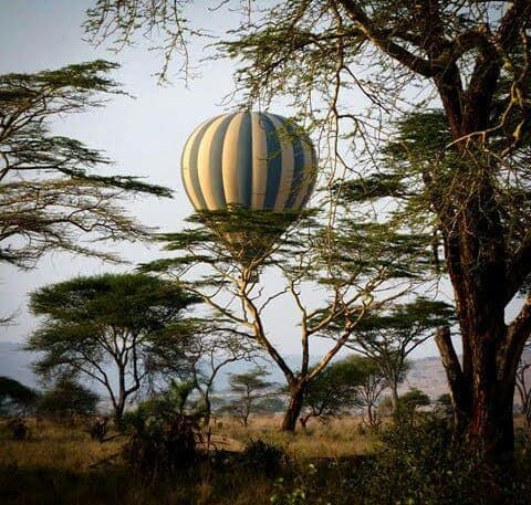 12-Day Paramotoring Safari & Location Discovery