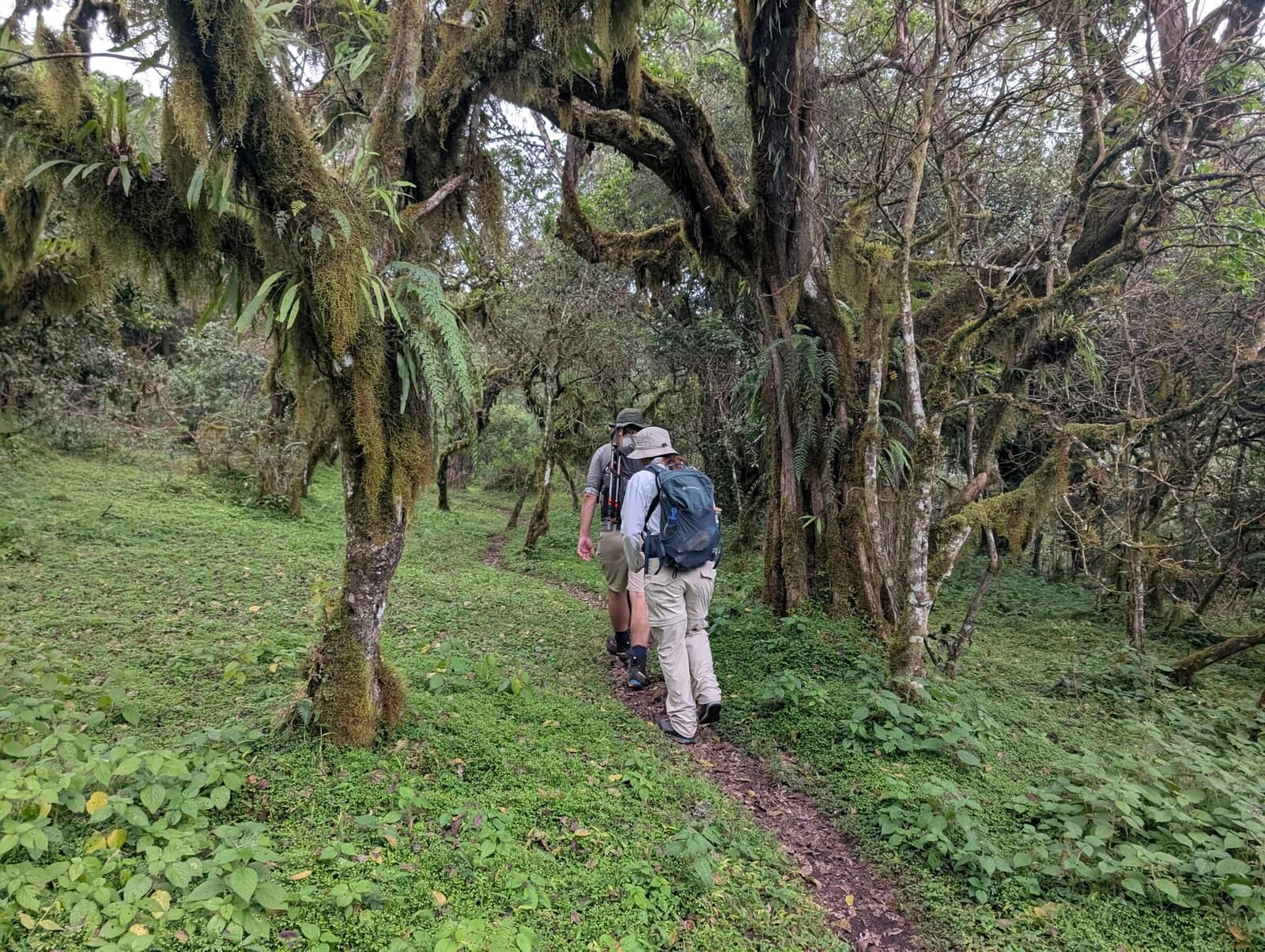 3-Day Mount Meru — photo 2