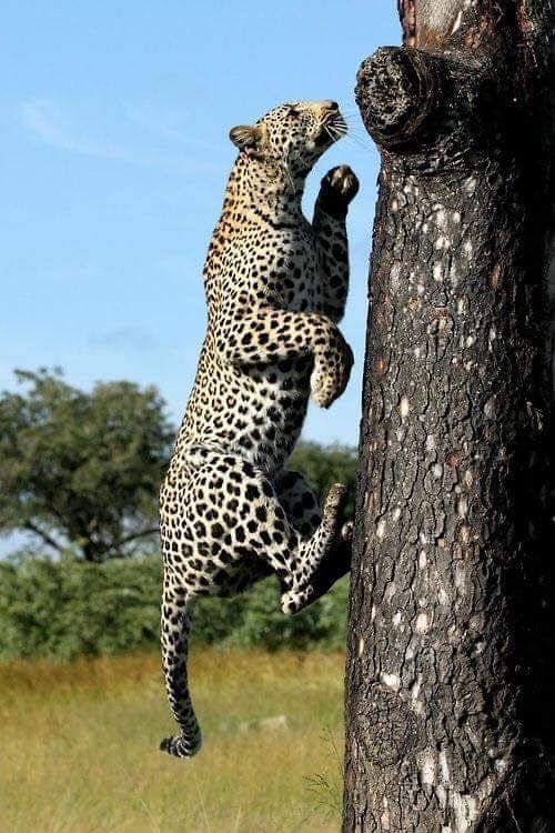 7-Day Safari + Zanzibar — photo 3