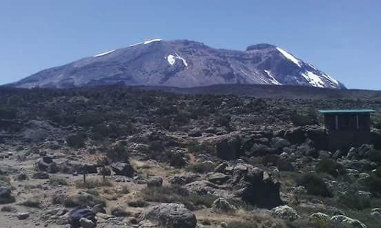 7-Day Machame
