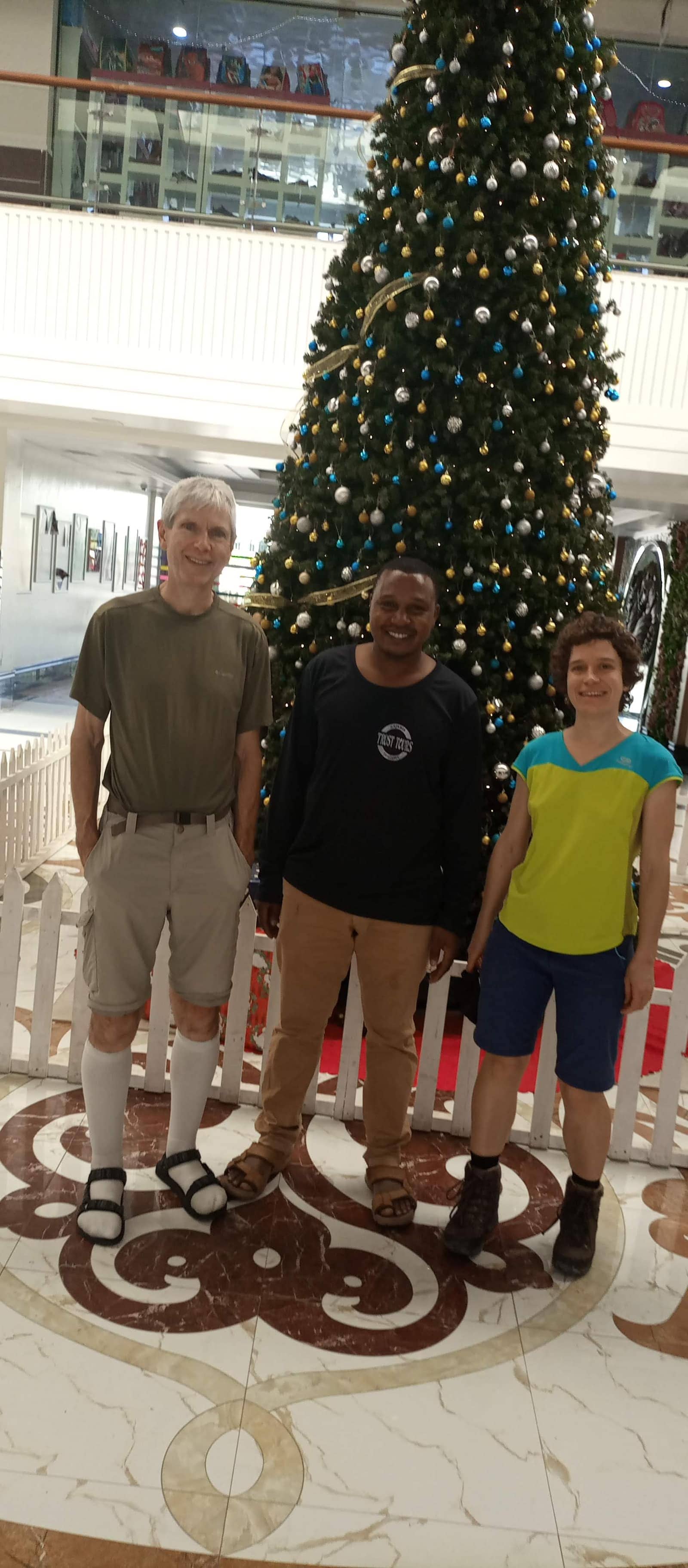Guests and their guide beside a Christmas tree in Tanzania
