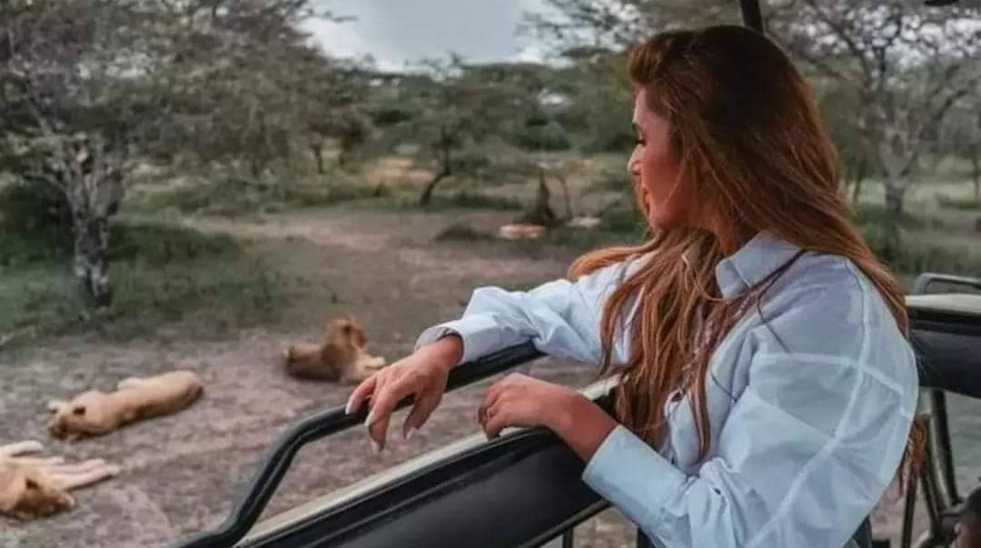 A guest watching lions from a Trust Tours safari vehicle