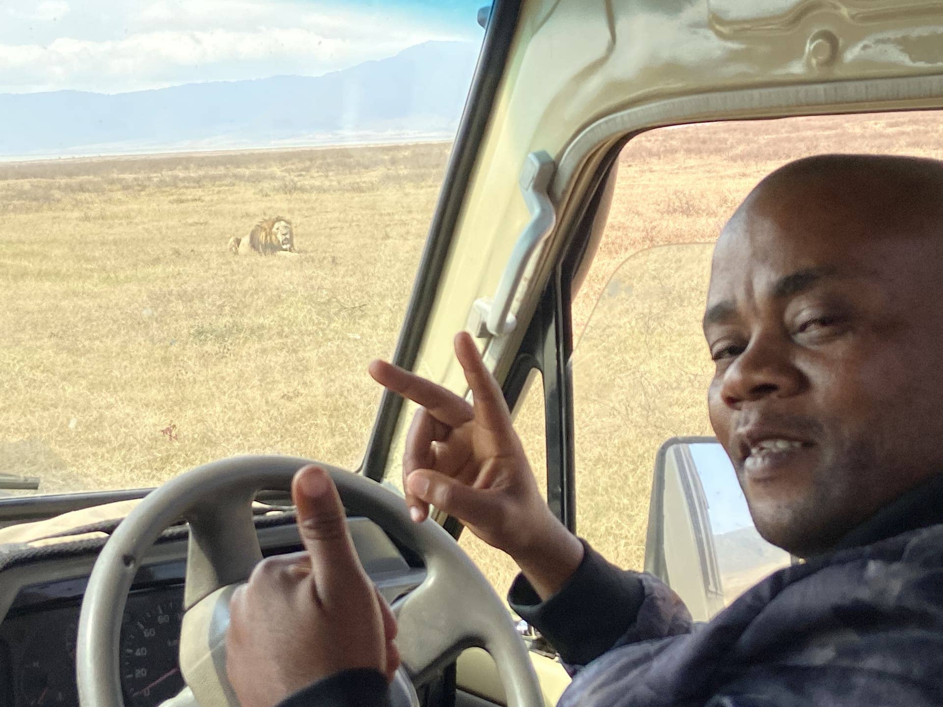 A Trust Tours guide pointing out a male lion in the Ngorongoro Crater