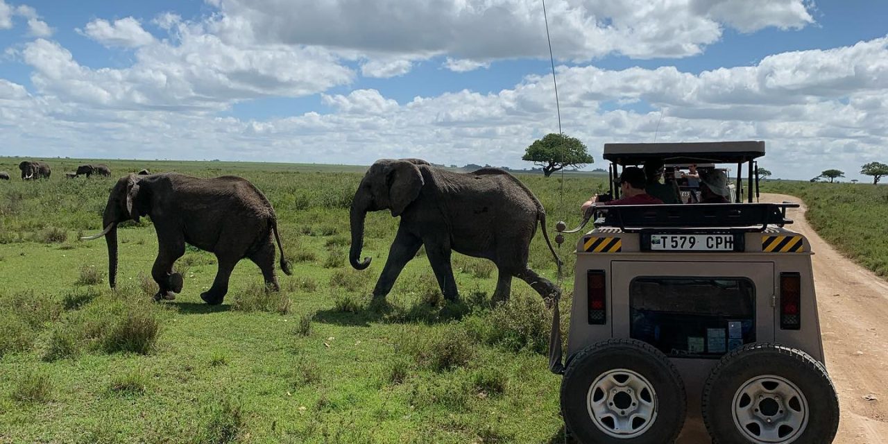 10 Days Tanzania Safari Tours