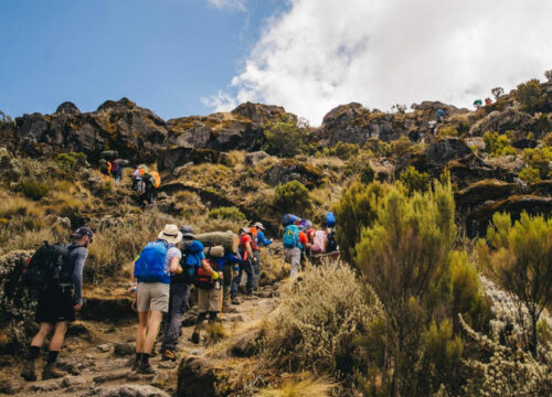 6-day Machame Route for climbing Mount Kilimanjaro