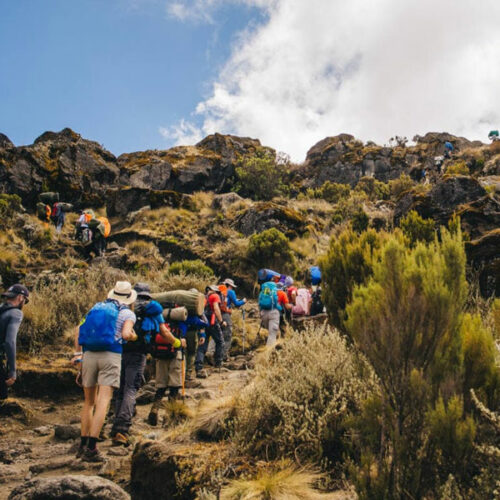 6-day Machame Route for climbing Mount Kilimanjaro