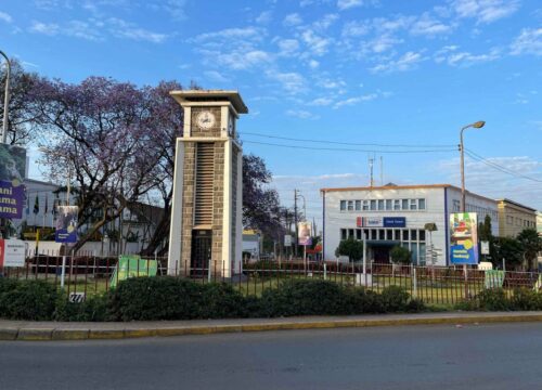 A City Day Tour in Arusha