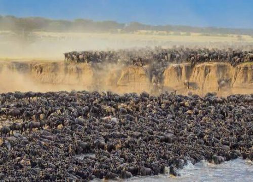6-Day Safari to Witness the Epic Migration Crossing Mara River in Tanzania