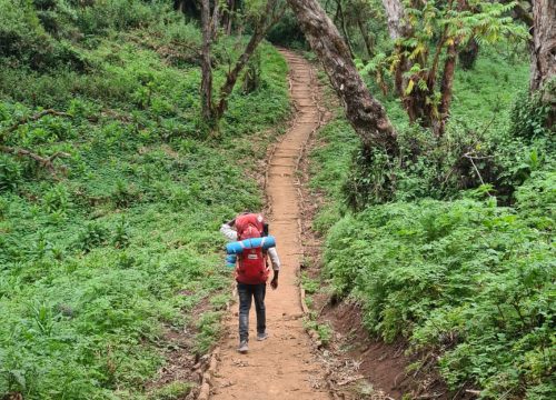 7-Day Safari Adventure Marangu Route Hike + Northern Circuit Safari + Maasai Cultural Experience Northern Circuit