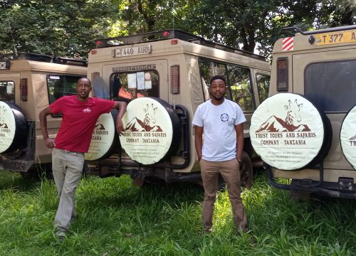 4-Day Private Safari Itinerary: Tarangire, Ngorongoro Crater, and Southern Serengeti (Ndutu Area) 