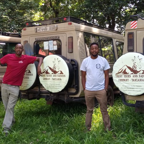 4-Day Private Safari Itinerary: Tarangire, Ngorongoro Crater, and Southern Serengeti (Ndutu Area) 
