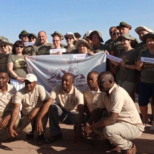 11-day adventure is perfect A Perfect Combination for an Unforgettable Adventure with Trust Tours and Safaris, Stay at 5-star or 4-star hotels and lodges