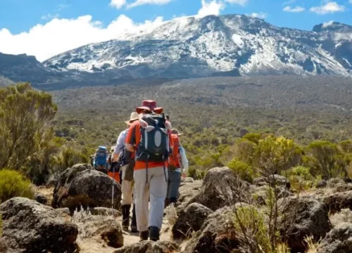 6 Days Umbwe Route