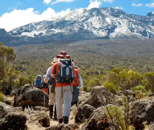 6 Days Umbwe Route