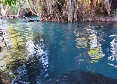 1 Day Trip, Magical Hotsprings In Moshi, Tanzania | Chemka Maji Moto