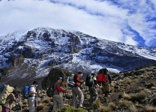 9 Days Climb Mount Kilimanjaro with the Best Northern Circuit Route | Trust Tours And Safaris