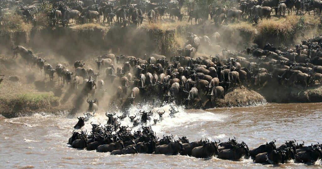 When is the best time for the great migration in Tanzania and Kenya? 