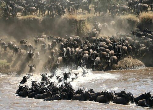 6 Days Safari Serengeti Ngorongoro Crater